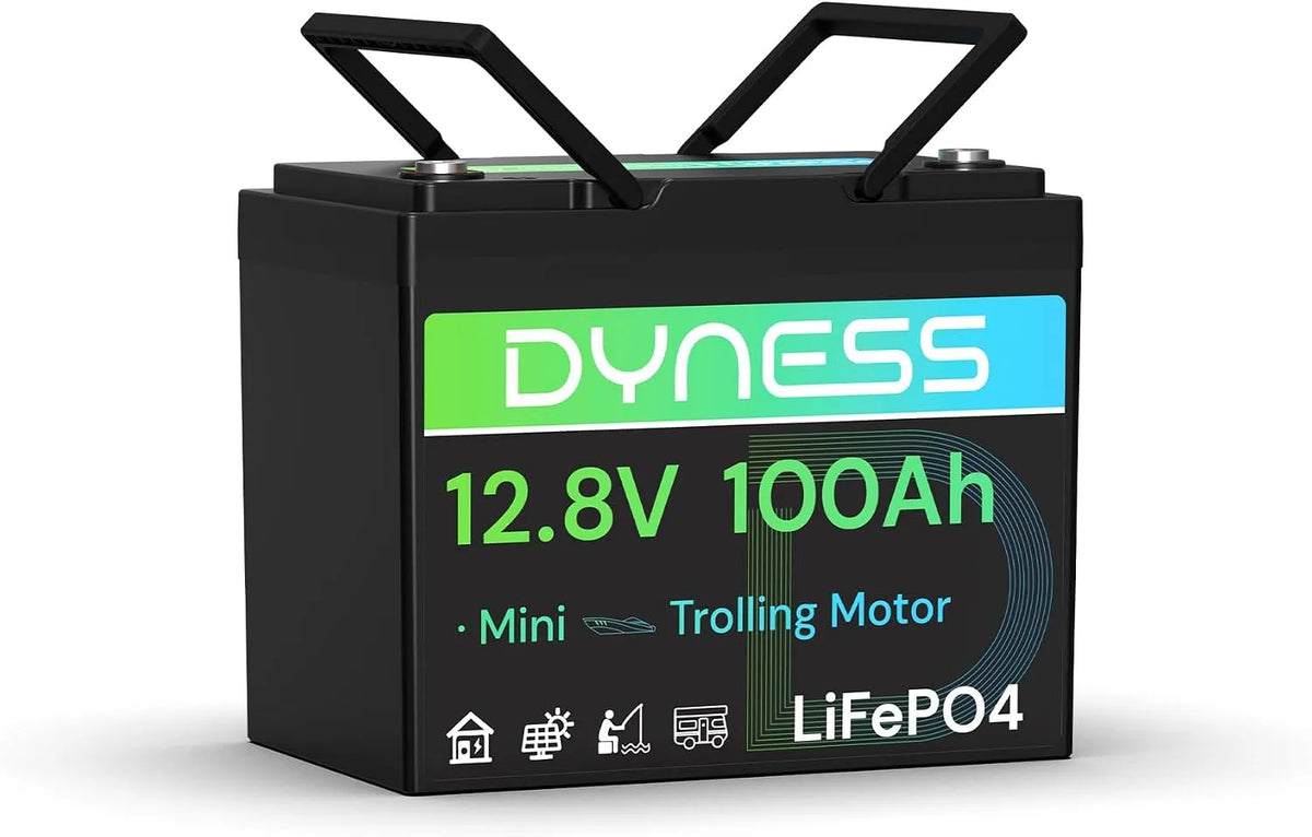 Modèle Lithium 12V 100Ah Mini LiFePO4 Dyness Batterie, pour Camping Car, kit Panneau Solaire, Caravane, Bateau, Marine