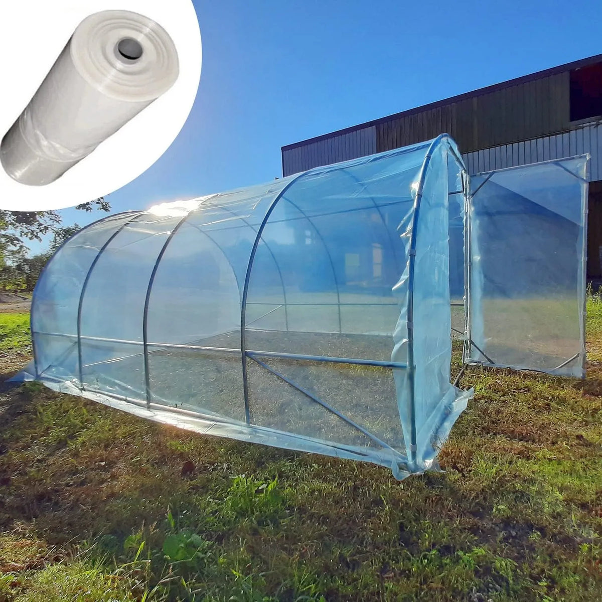 Modèle dimensions 3 x 4 m 150MC Serre Tunnel, avec bâche en PVC Made in Italy, avec porte frontale potager jardin plantes vivant Serres botaniques